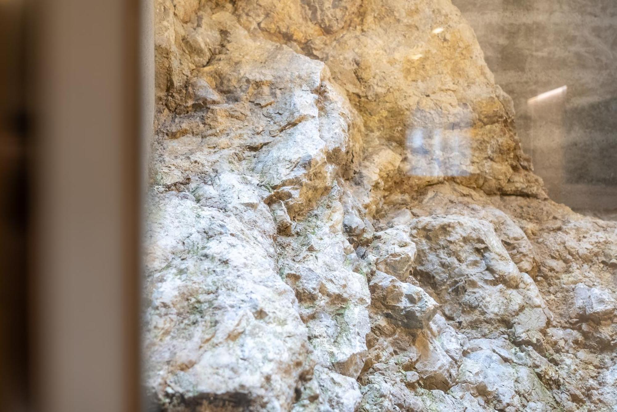 דירות Rock זלצבורג מראה חיצוני תמונה